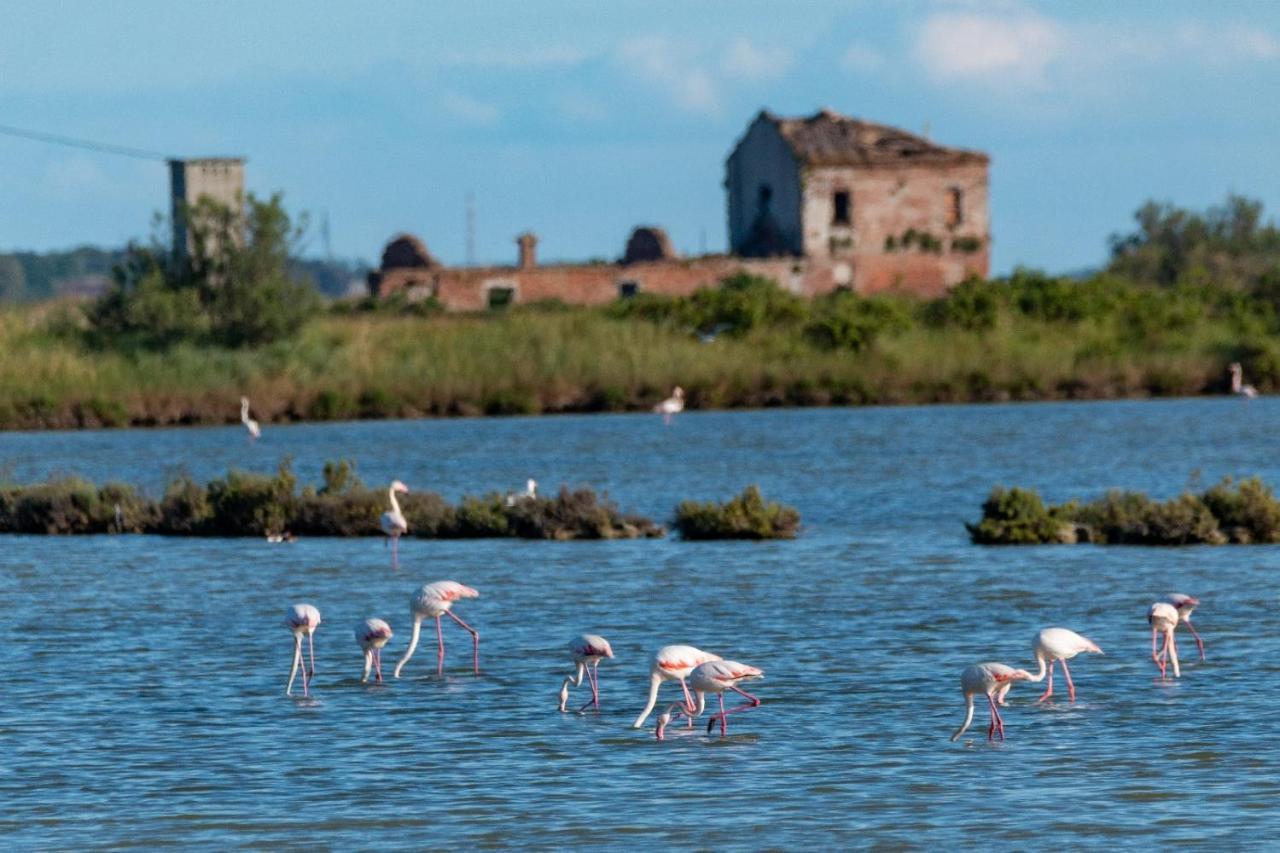 Ca' Savio Terramare Lägenhet Cavallino-Treporti Exteriör bild